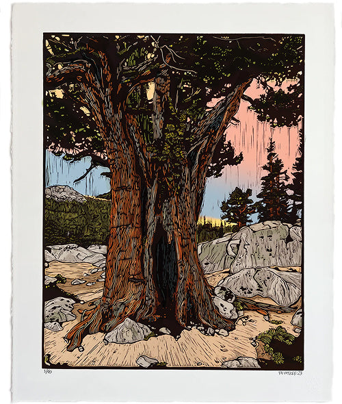 Linocut Prints by Eric Rewitzer – 3 Fish Studios