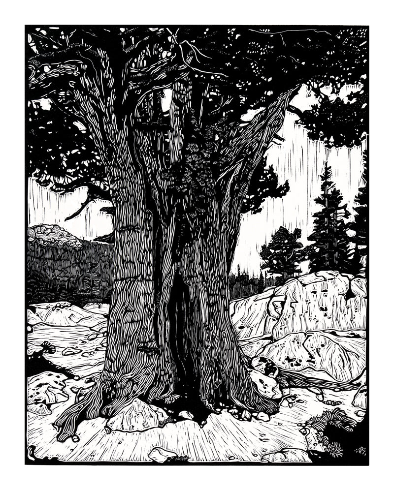 "High Sierra" Print