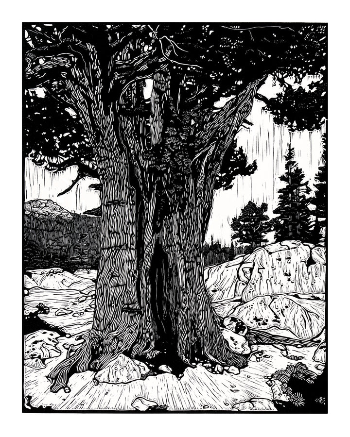 "High Sierra" Print
