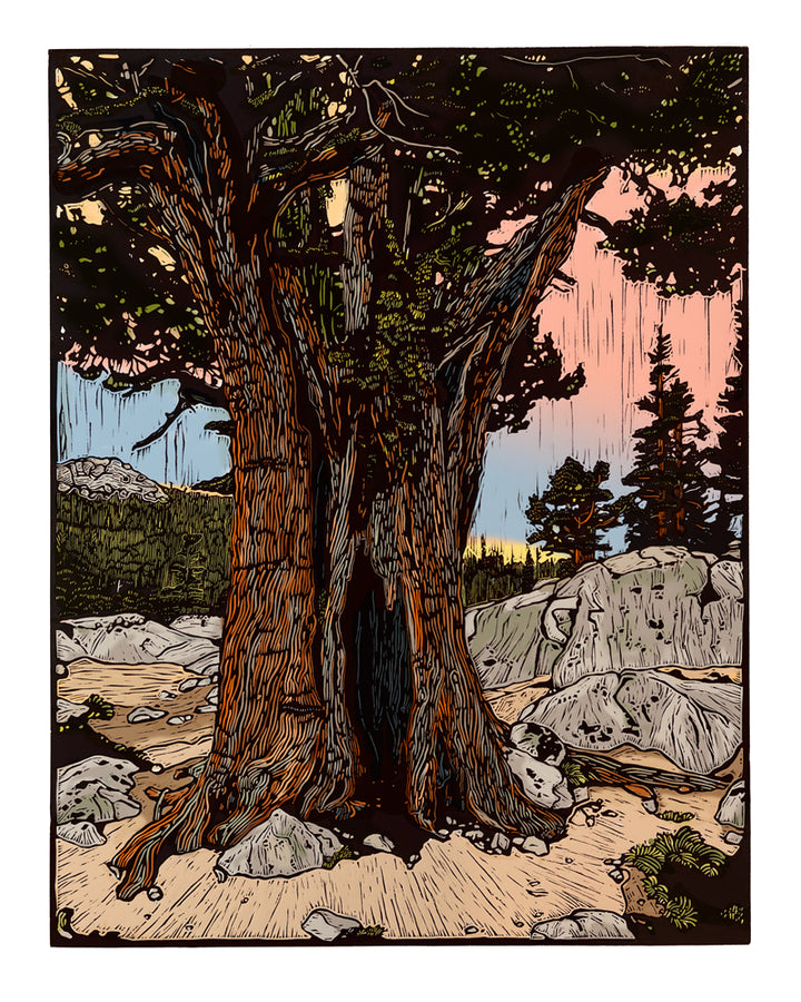 "High Sierra" Print