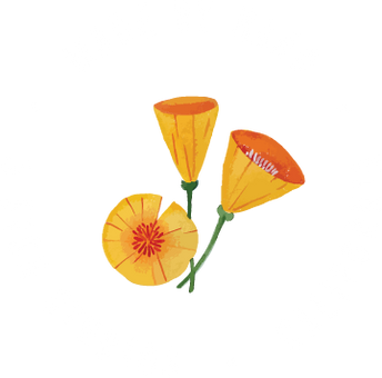 3 Fish Studios