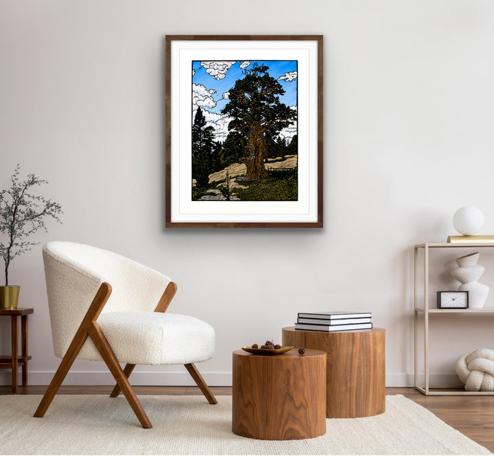"Bennett Juniper" Original
